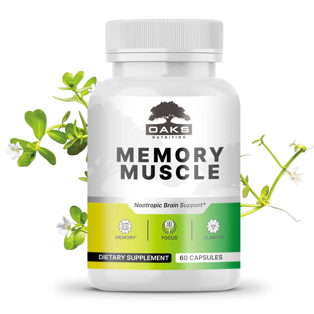 The Nootropic Advantage: Unlocking Your Brain's Potential - Oaks Nutrition
