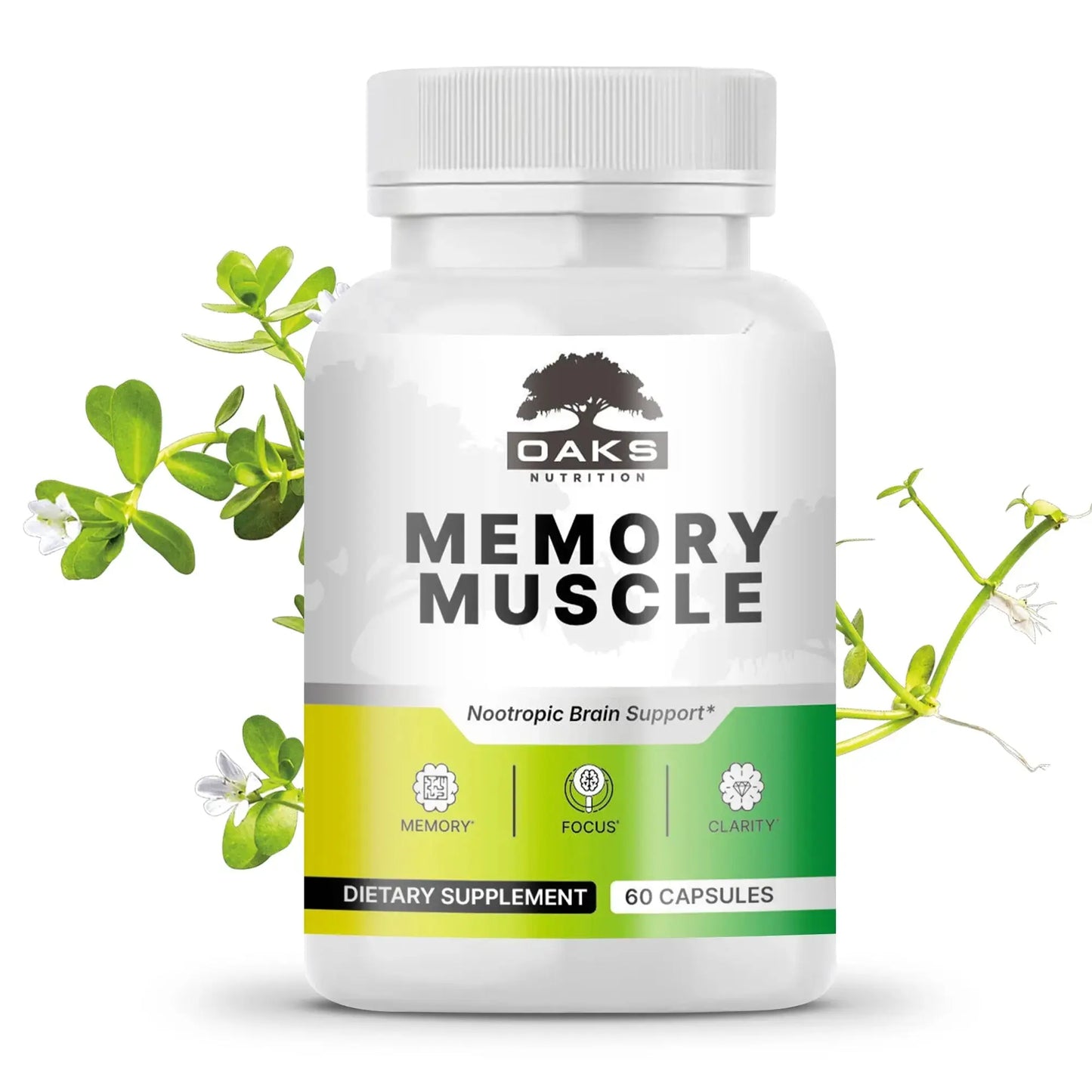 Memory Muscle - Nootropic Memory Support Supplement for Enhanced Focus & Mental Clarity - 60 Count OaksNutrition