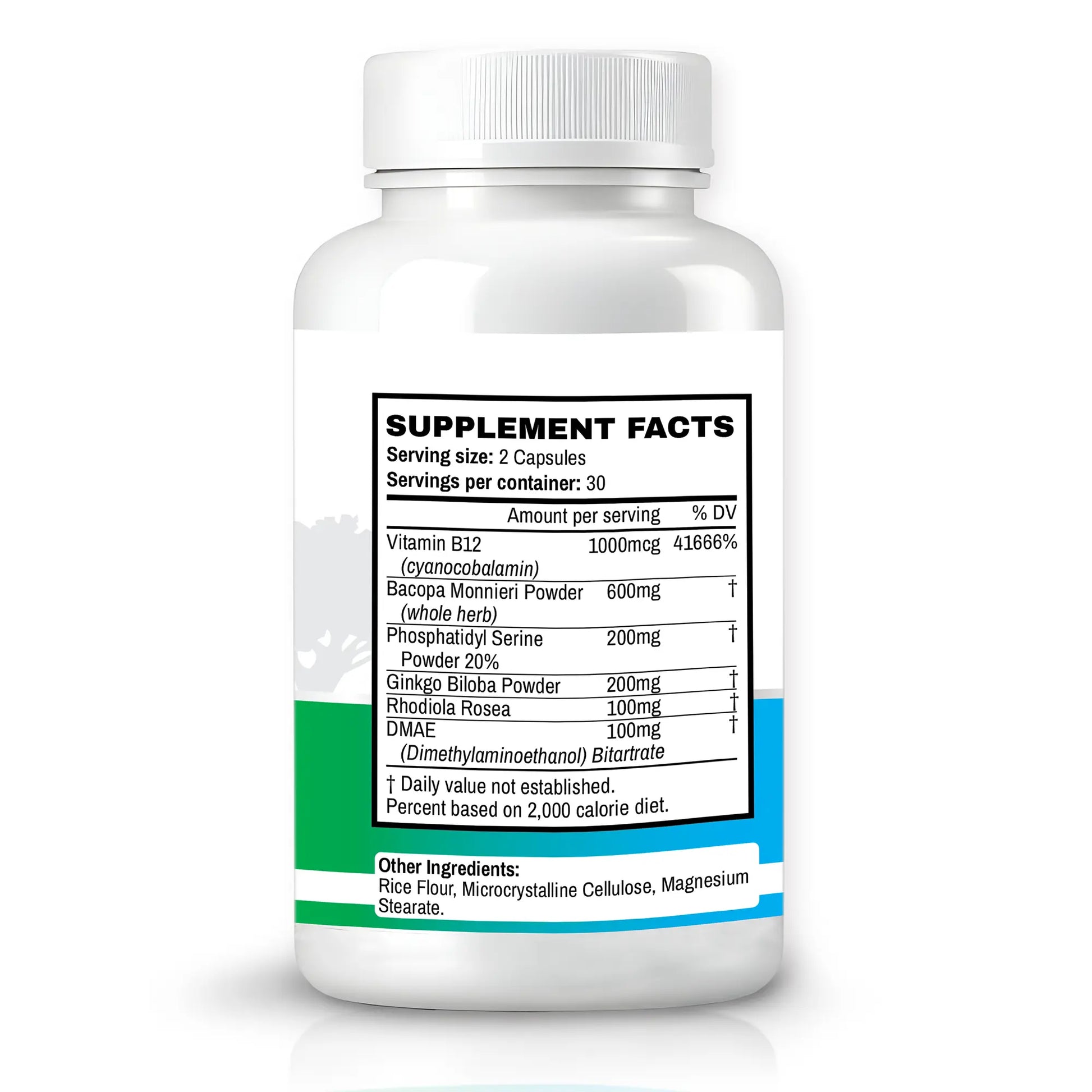 Memory Muscle - Nootropic Memory Support Supplement for Enhanced Focus & Mental Clarity - 60 Count OaksNutrition